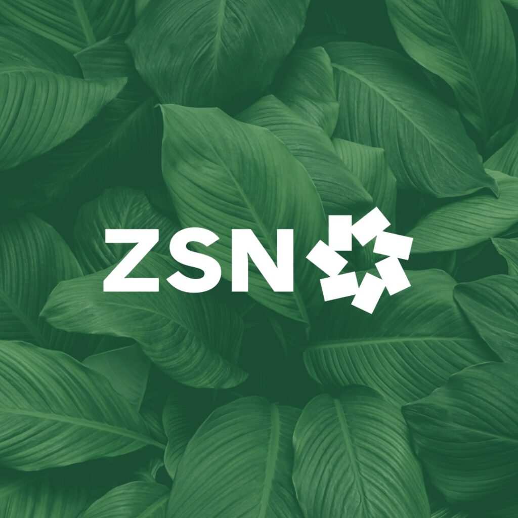 Obrazek, na zielonym tle lisci napis ZSN i logo EMNK