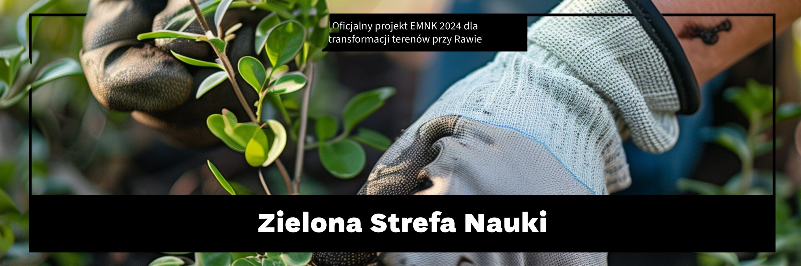 banner strony Zielona Strefa Nauki